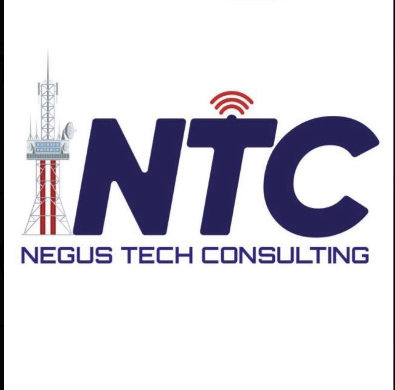 Négus Tech Consulting – Construction & Rénovation